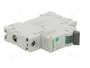 SCHNEIDER ELECTRIC Easy9 Pro Interruptor Magnetotérmico 32A 1 Polo 6kA