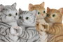 DKD Home Decor Figura de Resina Gatos Surtido de 2 Unidades