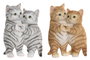 DKD Home Decor Figura de Resina Gatos Surtido de 2 Unidades