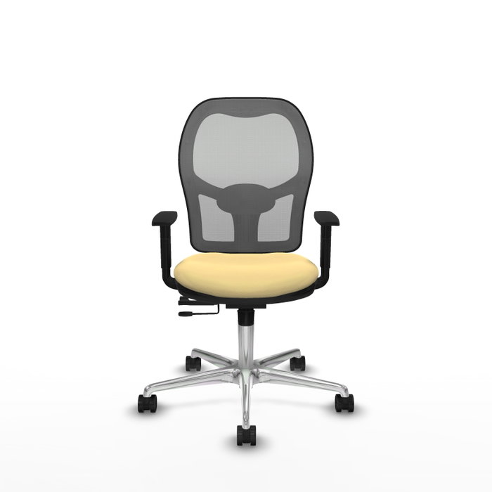 PIQUERAS Y CRESPO Silla de oficina Jorquera con mecanismo Sincro/Traslack Crema y Gris PIQUERAS Y CRESPO Silla de oficina Jorquera con mecanismo Sincro/Traslack Crema y Gris