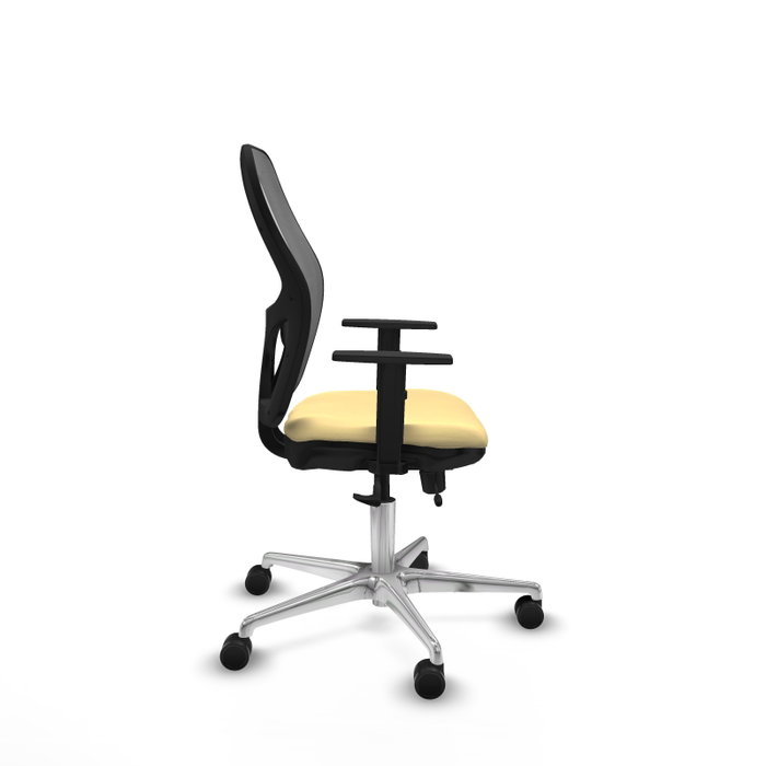 PIQUERAS Y CRESPO Silla de oficina Jorquera con mecanismo Sincro/Traslack Crema y Gris PIQUERAS Y CRESPO Silla de oficina Jorquera con mecanismo Sincro/Traslack Crema y Gris