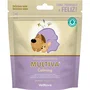 Vetnova Multiva Calming Small & Miniature Dog 25 Chews