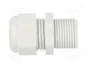 FIBOX Sello aislante M20 1,5 IP68 gris