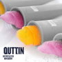 Quttin Molde Helado Flexible de 36 Unidades
