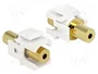DeLOCK Módulo Keystone 2x Jack 3,5 mm 4 Pin Blanco/Oro
