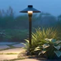 Oldenburg Baliza LED Exterior 54Cm 7W 220VAC 3000K Negro