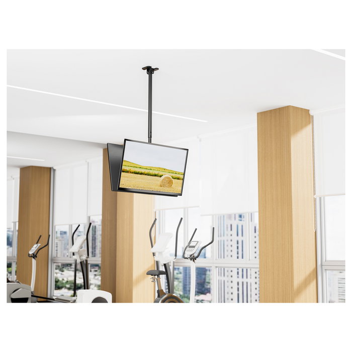 EQUIP Soporte Techo 43-86 Pulgadas 2 Monitores Hasta 50Kg Cada Uno Rotacion 360 Grados 650377 Negro