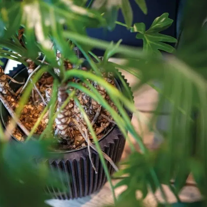 Capi Europe Florero Elegant Groove 46x58 cm Negro 445497