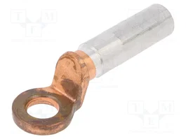 BM GROUP Terminal de ojillo M12 25mm2 4AWG