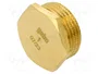GEBO Tapón Hexagonal G 1" Externo Serie BR