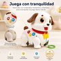 Hola Perro de arrastre infantil con luces y sonidos