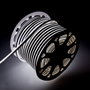 Neon Flex Tira LED Manguera 6W 6000K 24V 8x16mm Blanco Frío