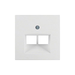 Berker 14098989 Central UAE/E-DAT Blanco 2 Puntos de Ventala, Termoplástico, Compatible con Cualquier Marca