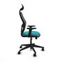 Silla de oficina Alocén con mecanismo Sincro tapizada con Tela color Turquesa y malla color Negro. Equipada con lumbar 1D, Brazos 2D, Cabecero Fijo y Ruedas 65mm nailon