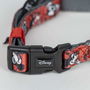 Cerdà Collar Premium Minnie T1XXS:XXS/XS para Perros XXS/XS Rojo