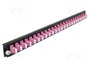 DeLOCK Panel de conexión de fibra óptica 24 puertos LC Duplex violeta 19″