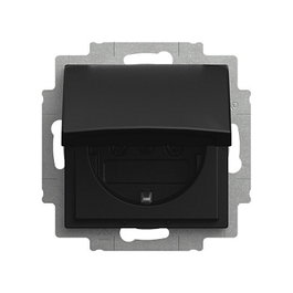 BUSCH-JAEGER BJ 20 EUK-915 Schuko con tapa abatible Negro