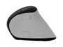 Natec Euphonie Pro Ratón Inalámbrico 4000 DPI Bluetooth 2.4 GHz Blanco