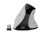 Natec Euphonie Pro Ratón Inalámbrico 4000 DPI Bluetooth 2.4 GHz Blanco