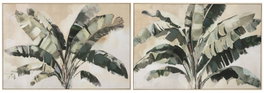 DKD Home Decor Cuadro Lienzo Palmera Pack de 2