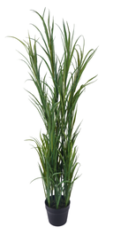 DKD Home Decor Planta PE PP Verde 40x40x120 cm