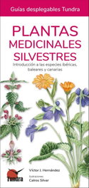 TUNDRA, PLANTAS MEDICINALES SILVESTRES