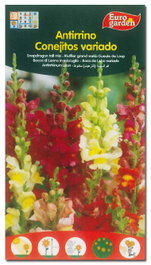 Semillas de flores antirrinos conejitos variados
