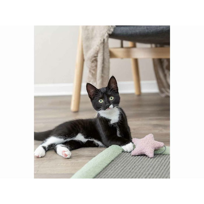 Rascador para Gatos Trixie Junior