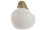 DKD Home Decor Figura Buda Oriental Verde Blanco Resina 9 x 10.5 x 10 cm (3 Unidades)