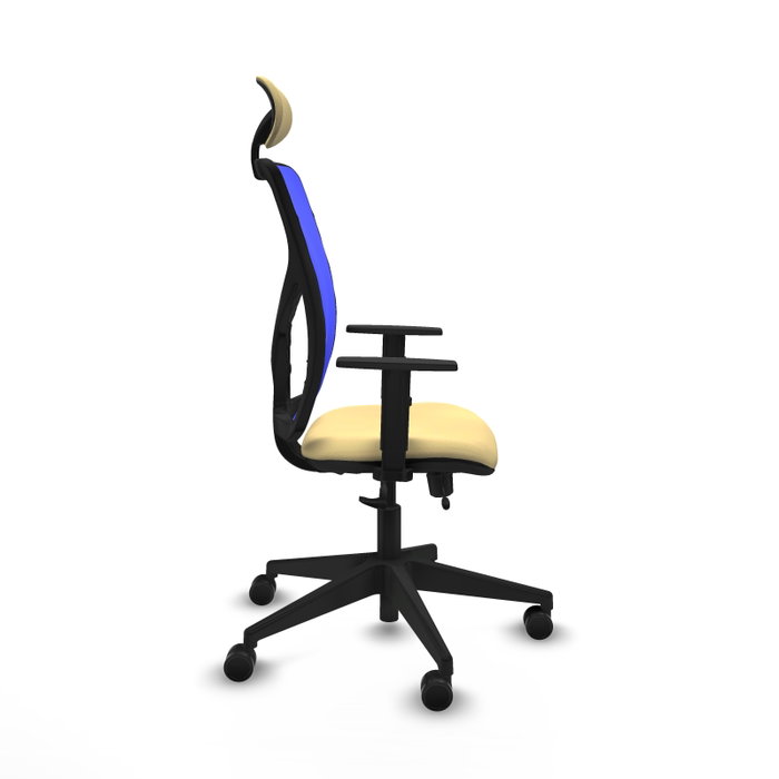 PIQUERAS Y CRESPO Silla de oficina Motilla con mecanismo Sincro/Traslack, Azul y Crema PIQUERAS Y CRESPO Silla de oficina Motilla con mecanismo Sincro/Traslack, Azul y Crema