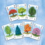 Arboretum Juego de cartas *Edición Inglés*