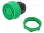 SCHNEIDER ELECTRIC Interruptor de presión Harmony XB5 Verde 22mm