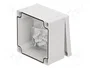 FIBOX MNX Carcasa Universal ABS Gris 100x100x60mm