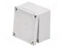 FIBOX MNX Carcasa Universal ABS Gris 100x100x60mm