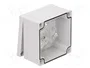 FIBOX MNX Carcasa Universal ABS Gris 100x100x60mm