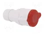 PAWBOL Conector Hembra IEC 60309 16A 400V 5 Polos
