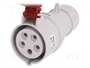 PAWBOL Conector Hembra IEC 60309 16A 400V 5 Polos