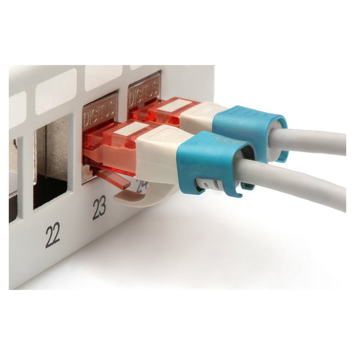 Digitus Clips de Color para Cables RJ45 100 Unidades Azul Cat5e/6 PVC