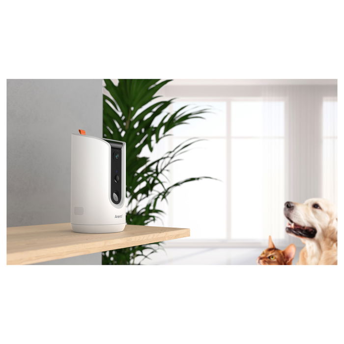 Arenti PETCAM1T Cámara WiFi Interior para Mascotas y Dispensador de Comida