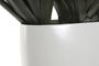 DKD Home Decor Planta Verde Blanco 60 x 60 x 62 cm (2 Unidades)