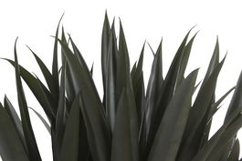 DKD Home Decor Planta Verde Blanco 60 x 60 x 62 cm (2 Unidades)