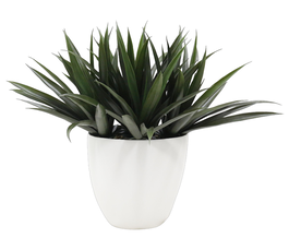 DKD Home Decor Planta PE Magnesia Verde 60x60x62