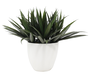 DKD Home Decor Planta PE Magnesia Verde 60x60x62