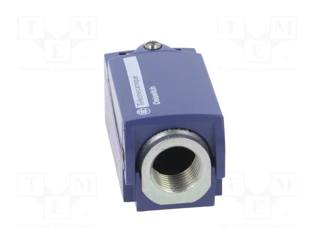 TELEMECANIQUE SENSORS XCKD2102P16 Interruptor de fin de carrera con roldana metálica