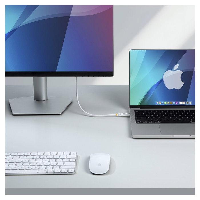 Startech Cable USB4 de 1 metro USB-C a USB-C Startech Cable USB4 de 1 metro USB-C a USB-C
