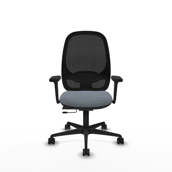 PIQUERAS Y CRESPO Silla de oficina Cilanco con mecanismo Sincro/Traslack, Gris y Negro PIQUERAS Y CRESPO Silla de oficina Cilanco con mecanismo Sincro/Traslack, Gris y Negro