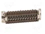 ILME Conector HDC hembra 24+PE 180 °C