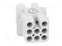 LAPP Plantilla de contacto HDC EPIC H-D hembra de 8 pines