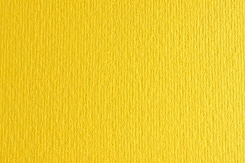 Sadipal Cartulina LR 220 Texturizada Cedro 50x70cm (Set de 20)