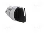 SCHNEIDER ELECTRIC Interruptor Rotativo Harmony XB4 Negro 22mm